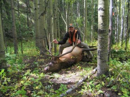 Colorado elk hunts